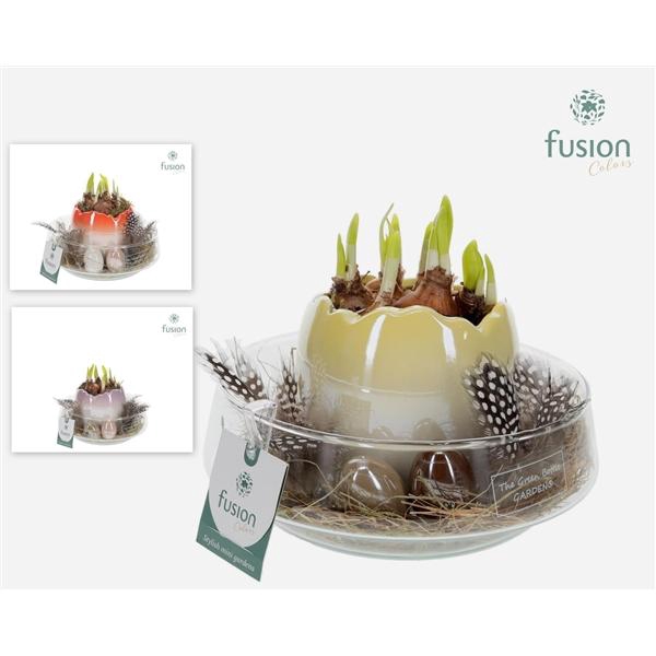 <h4>Arrangementen Tete a Tete H%</h4>