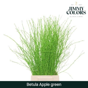 Betula L70 Apple Green