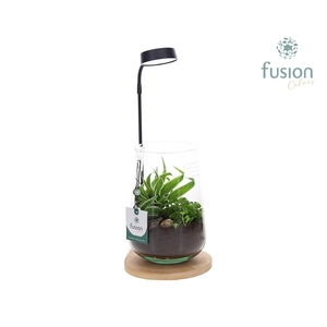 Bamboo plateau met LED licht lamp en vaas en Groen planteno