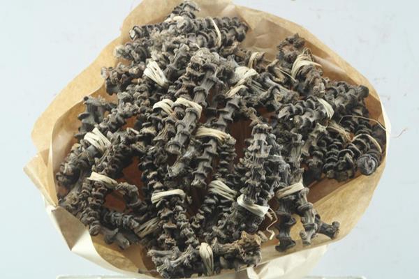 <h4>Droog Wokkel Natuur X30</h4>