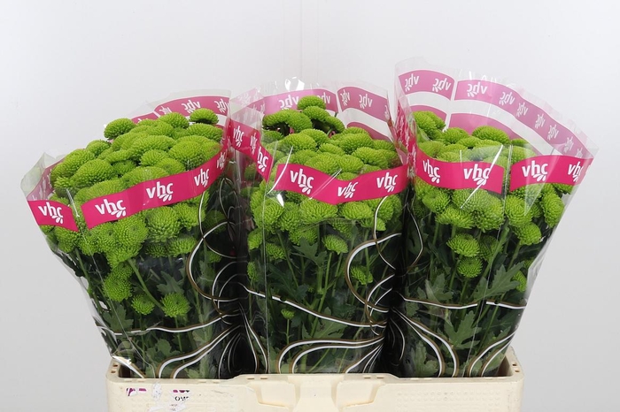 <h4>Chr S Aaa Peptalk</h4>