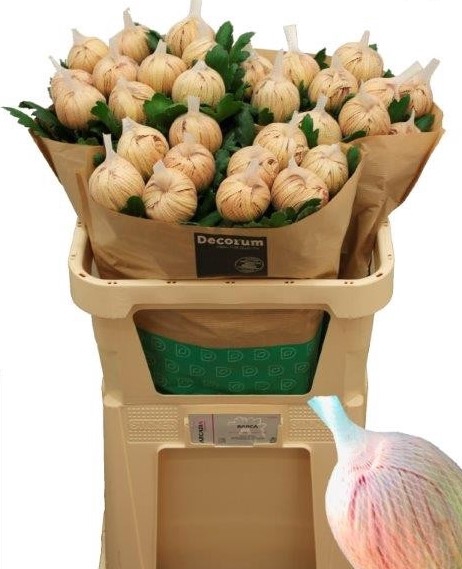 <h4>CHR G VIENNA COPPER</h4>