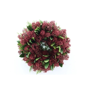 Wr Skimmia Red 30cm
