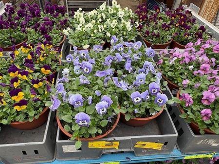 Vio Co Mixk 1 Kleur Per Fust