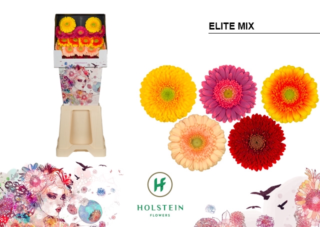 Ge Mi Elite Mix Gem