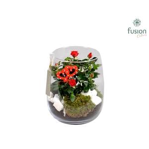 Windlicht met Arrangement