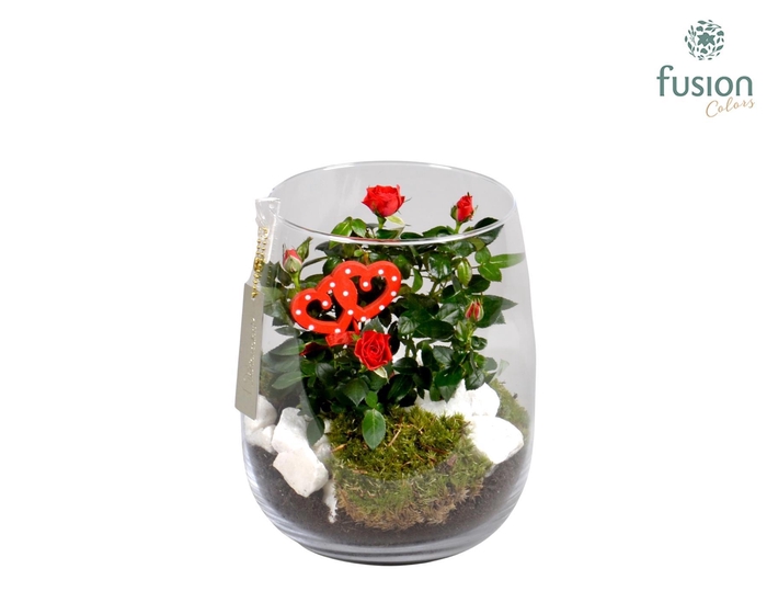 <h4>Windlicht met Arrangement</h4>