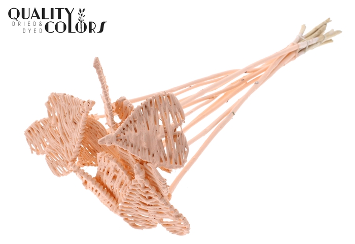 Lata Heart 8cm on stem Hat type Apricot