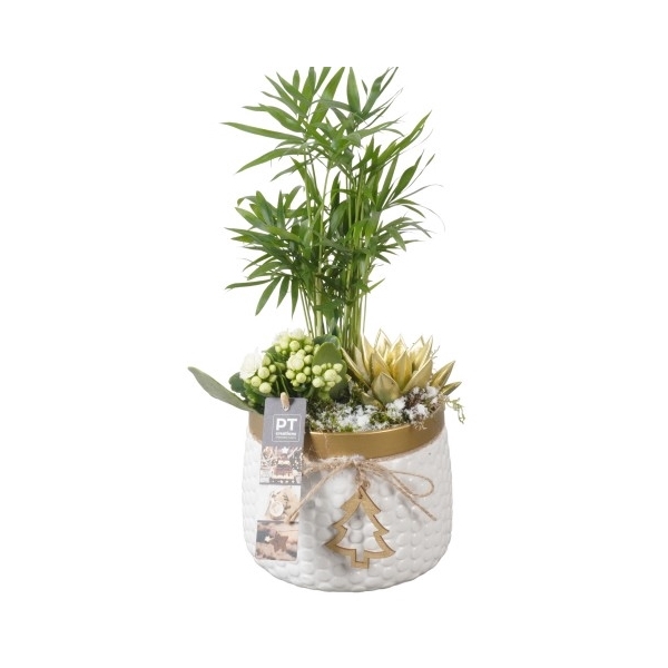 <h4>PTKB9365 Arrangement Kerst in keramiek pot</h4>