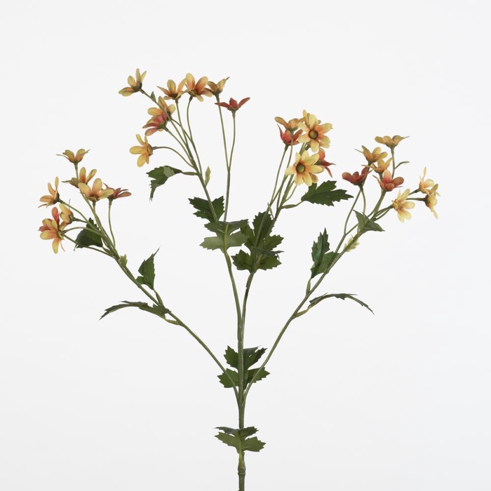 <h4>AF Matricaria spray L65cm l.or</h4>