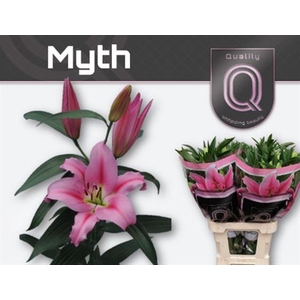 Li Ot Myth