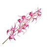 Oncidium Pink Dark Velvet Diamond FL430093DPK