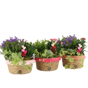 21992: Love outdoor arrangement