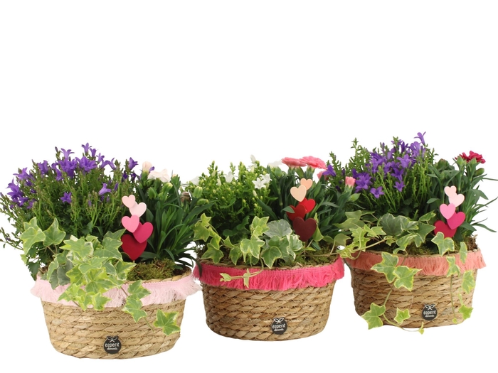 <h4>21992: Love outdoor arrangement</h4>