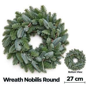 ABIES NOBILIS BLAUW