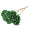 Shola New Beauty Rose Ø8cm on stem Mint