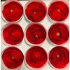 Pr 2 Ranunculus Red99