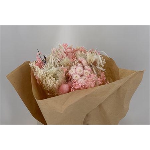 Dr Bqt Bleach Small Light Pink