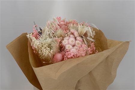 <h4>Dr Bqt Bleach Small Light Pink</h4>