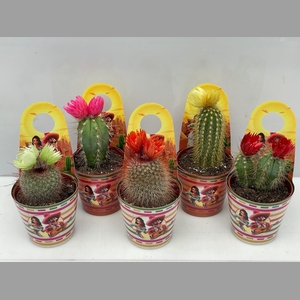 CACTUS GEM