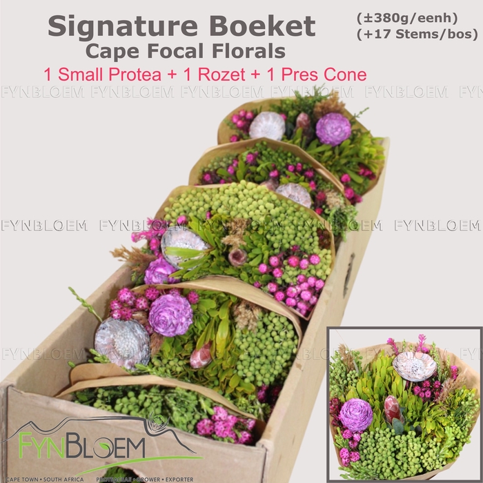 <h4>PROTEA PER BOS</h4>
