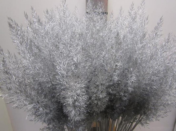 <h4>Calamagrostis Brachy Zilver</h4>