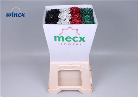 <h4>Echeveria Glitter X-mas Mix (mecx Flowers) Mecx-em</h4>