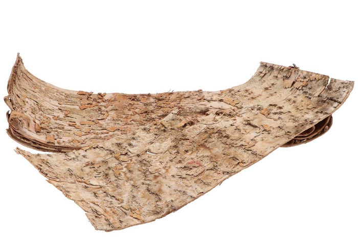 Nature Birch 24x70cm Natural White P/5