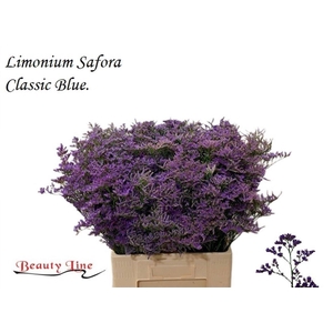 Lim Safora Classic Blue