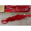 PF Amaranthus Hang Red Bs
