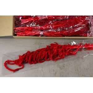 PF Amaranthus Hang Red Bs
