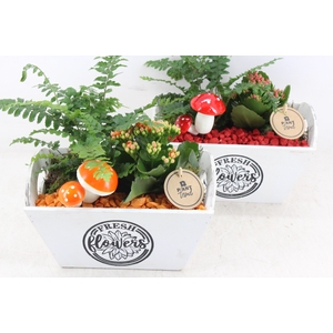 arr2 PL - Hout kist rechth. wit - oranje/rood