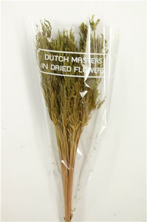 <h4>Dried Umbr. Sedge Sm. Leaf Green Bunch</h4>