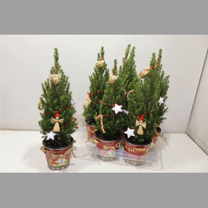 Kerstboom Versierd In Zinken Emmer