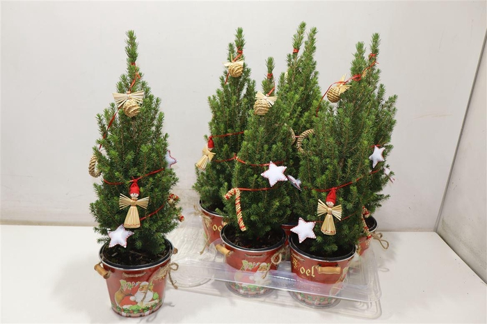 <h4>Kerstboom Versierd In Zinken Emmer</h4>