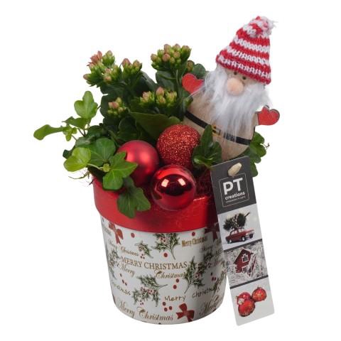 <h4>PTCHR7292 Arrangementen Kerst</h4>