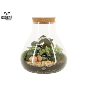 Arr.   Planten H%