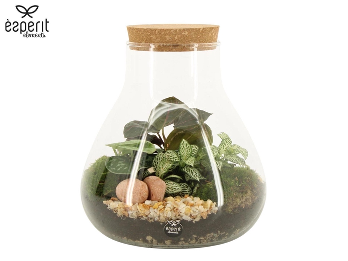 <h4>Arr.   Planten H%</h4>