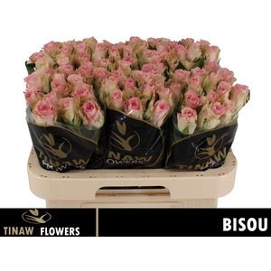 R GR BISOU@