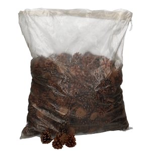 Pine cone Pinecone Austria 5kg