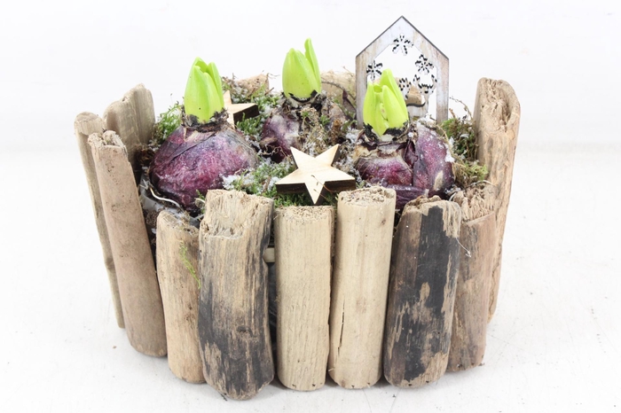 <h4>arr4 Hyacint JS - Drijfhout ovaal x3</h4>