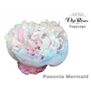 PAEONIA MERMAID x 20
