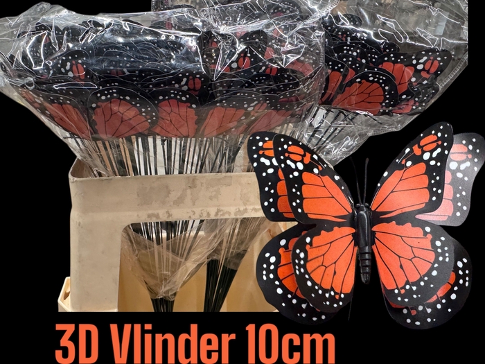 <h4>HUIS EN TUINDECO H%</h4>