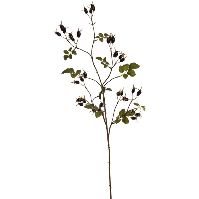 <h4>Large rosehip spray 95cm black</h4>