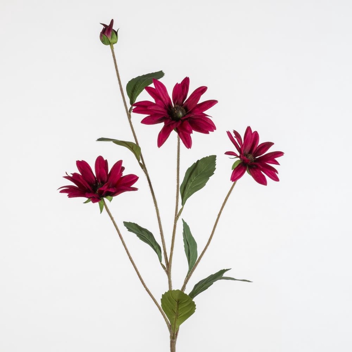 <h4>AF Rudbeckia x4 L83cm fuchsia</h4>