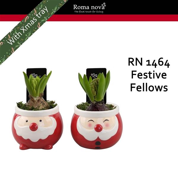 <h4>Arrangementen Hyacinthus 6%</h4>