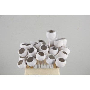 Stick Bell Cup White Wash