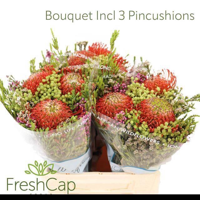 <h4>KAAPS GROE GEM IN BS</h4>