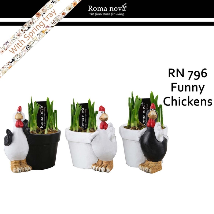 <h4>Narcis 796 Funny Chickens</h4>