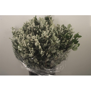 Pitto Ralphi Berry Per Bunch 400 Gram